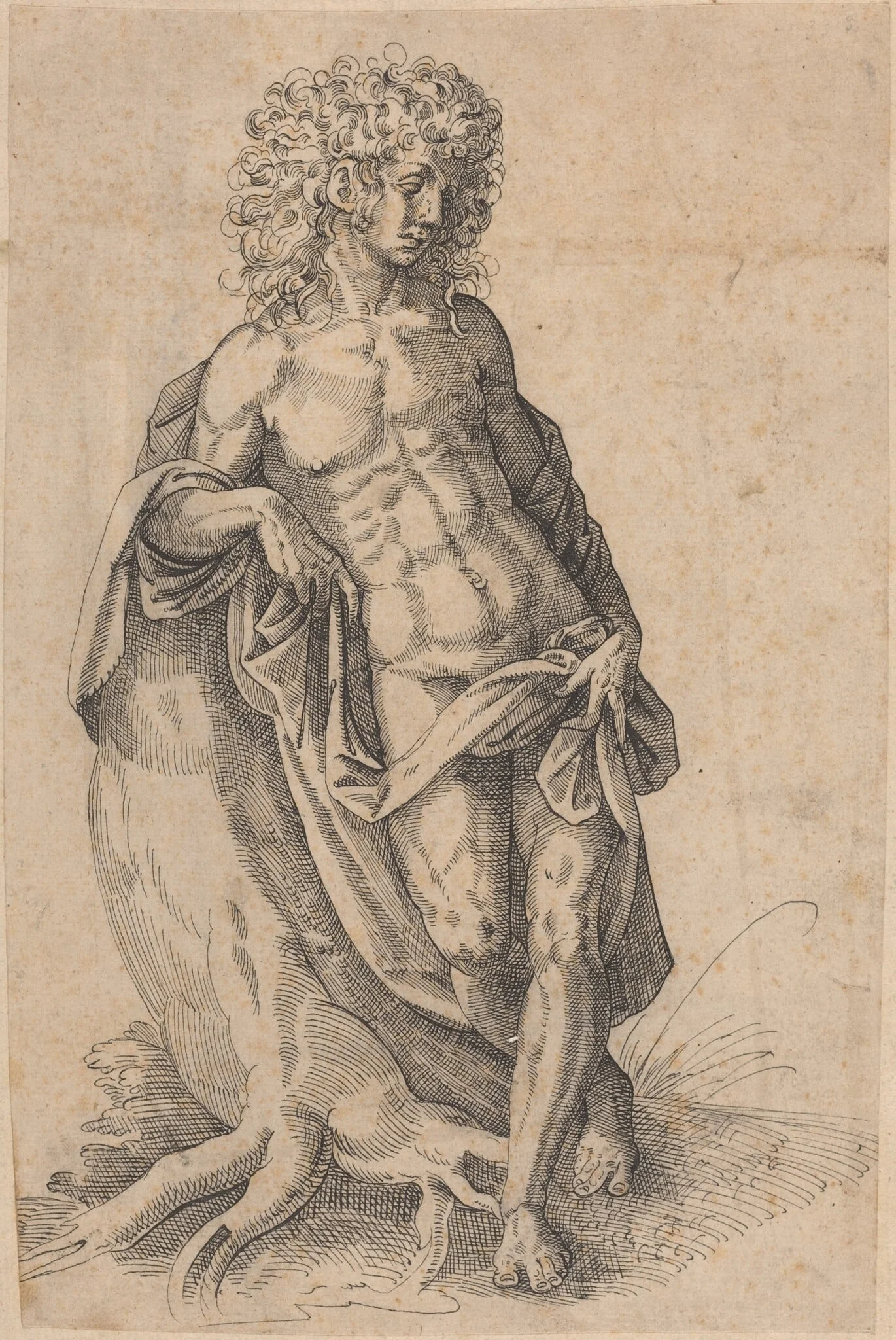 Apollo, detail