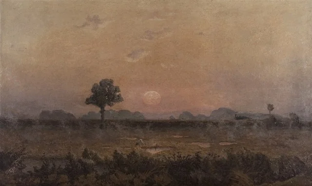 Sunset in the Campine, Belgium, detail
