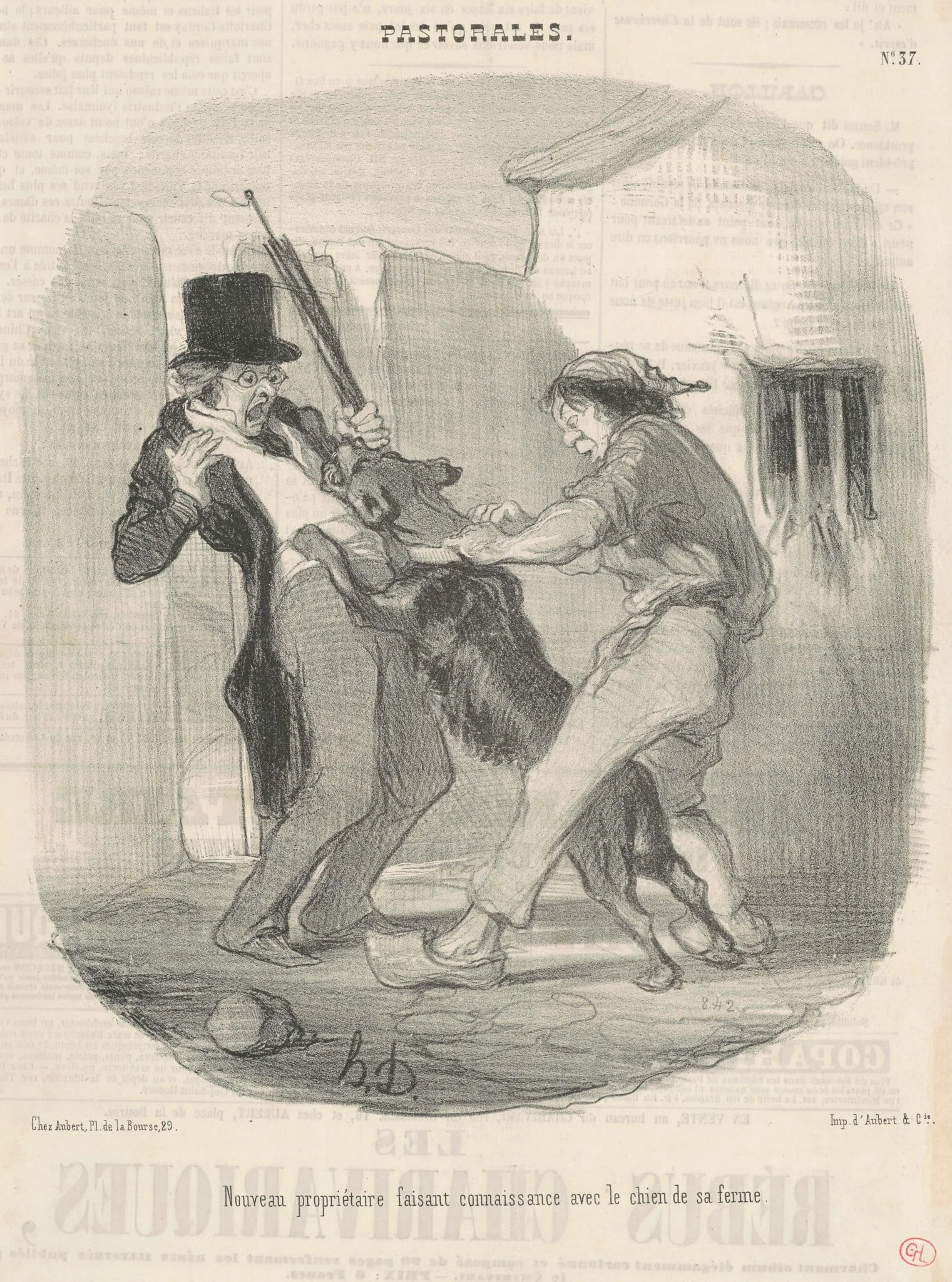 Nouveau propriètaire faisant connaissance avec le chien ..., detail