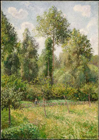 Poplars, Éragny, by Camille Pissarro, oil, 1898