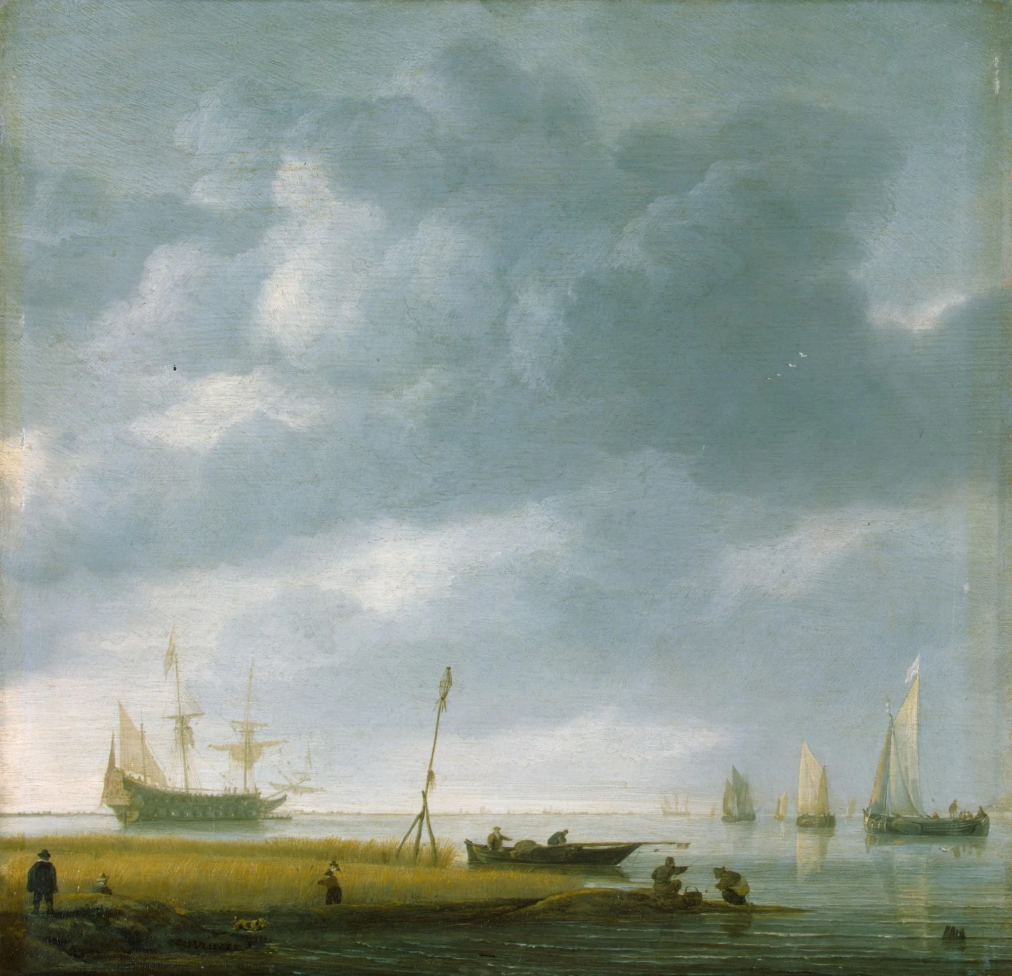 Seashore, detail