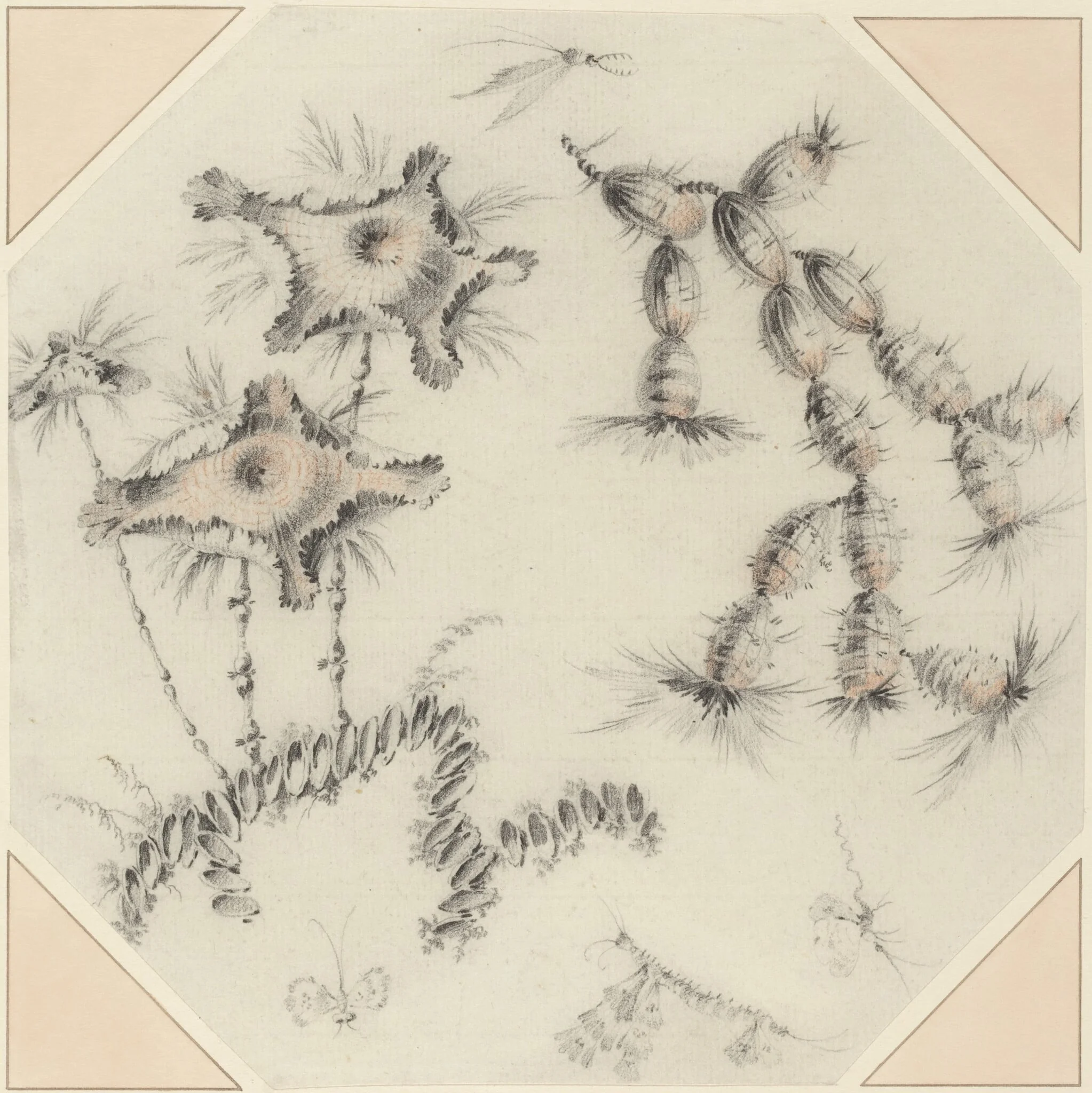 Bamboo Flowers and Cactus, detail