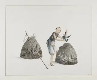 A Poultry Seller, by Puqua, paint, 1790
