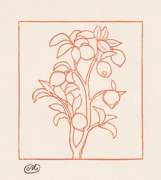 The Georgics: Lemon Tree (Les Géorgiques: Citronnier), by Aristide Maillol, 1940