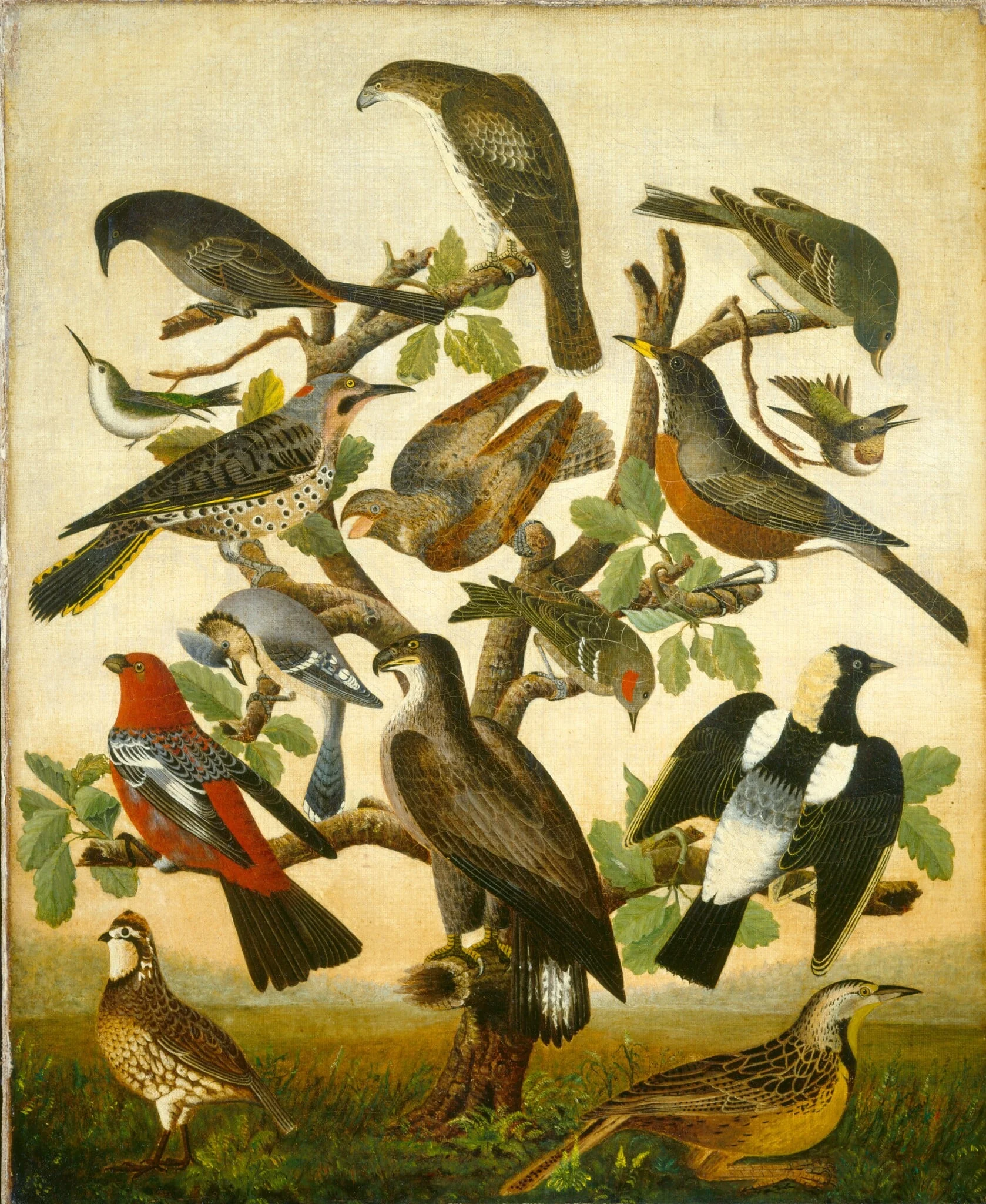 Birds, detail