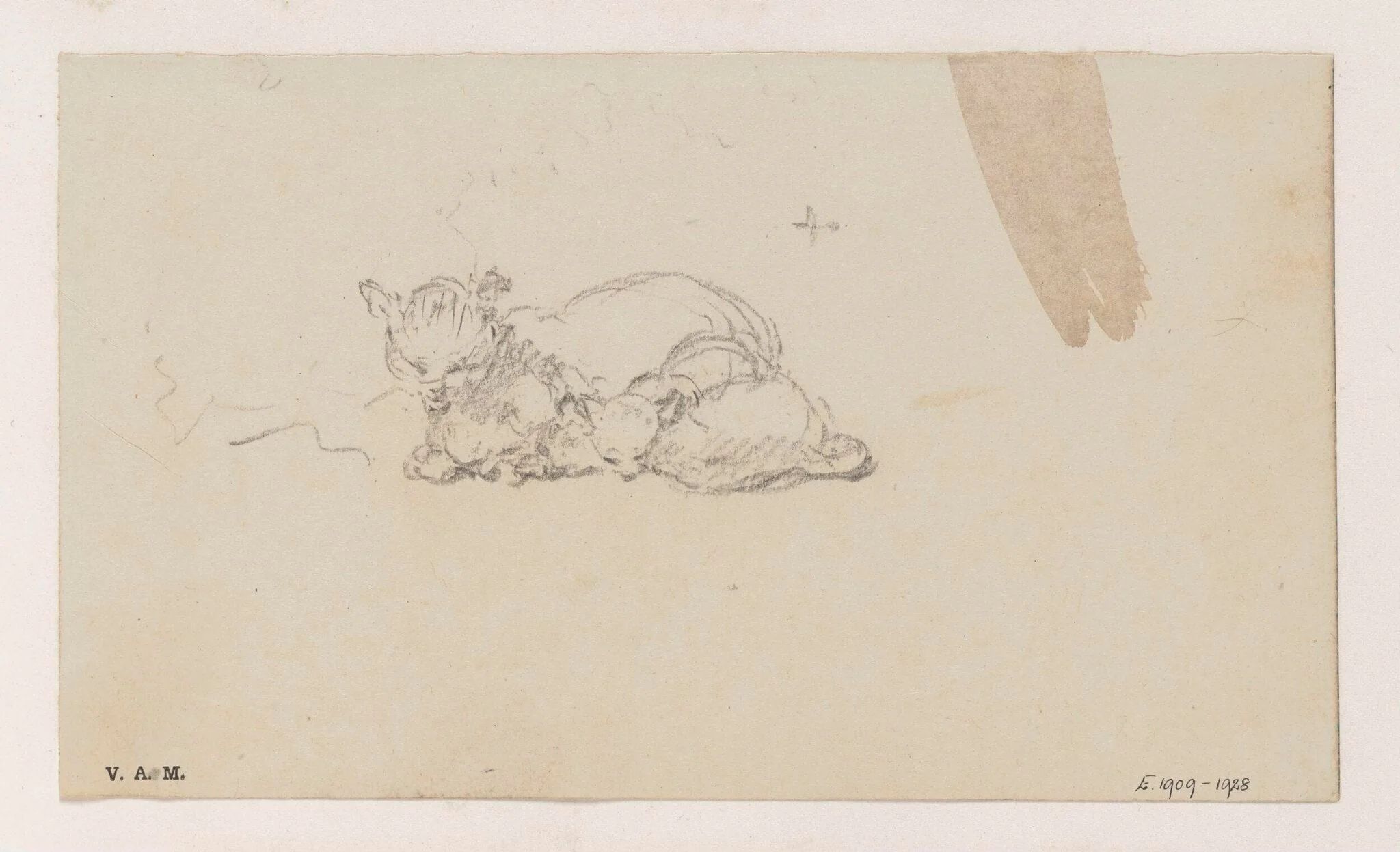 A cat and kittens, detail