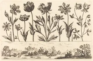 Flower Print no.1, by Nicolas Cochin, ink, 1645