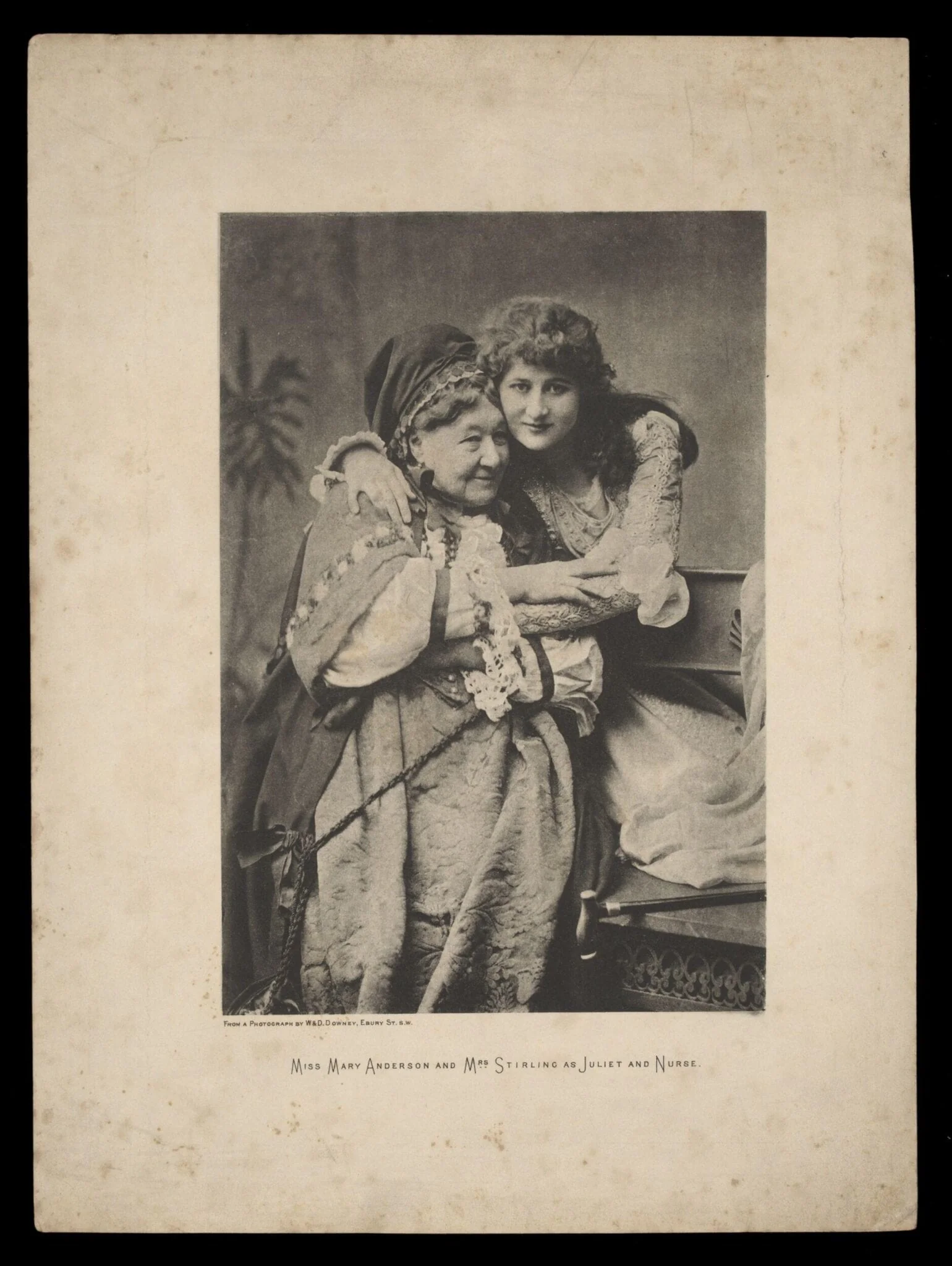 H Beard Print Collection, detail