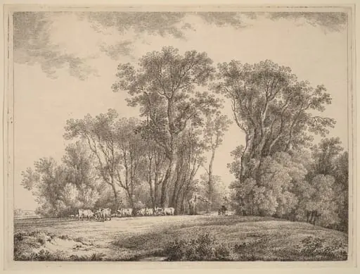 A Meadow with Cattle at the Edge of a Wood, by Martin von Molitor, ink, 1790