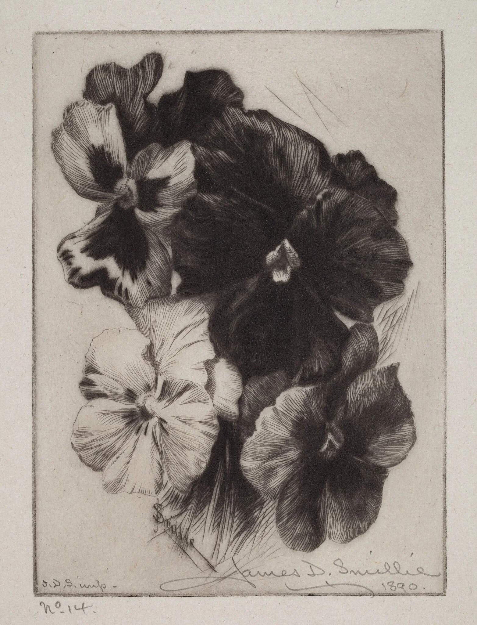 A Bunch of Pansies, detail
