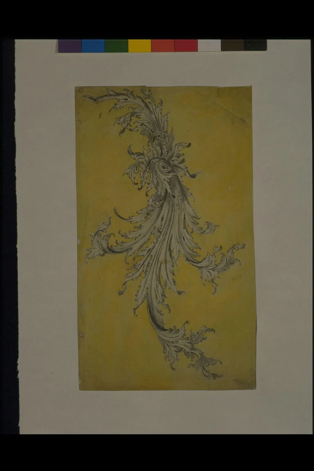 A Raffle Leaf, by Henry Copland, 1760