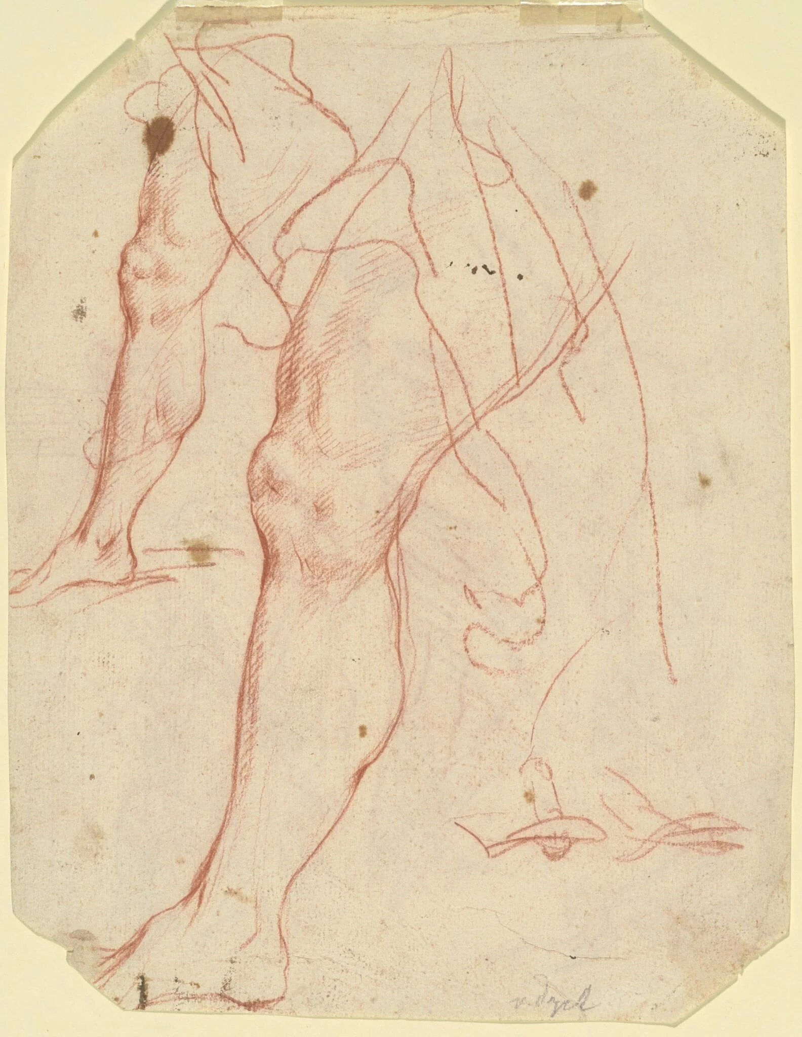 Two Studies of a Leg (verso), detail
