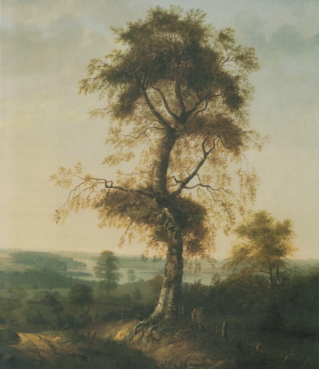 Beech Tree in Autumn, by Johan Christian Dahl, oil, 1814