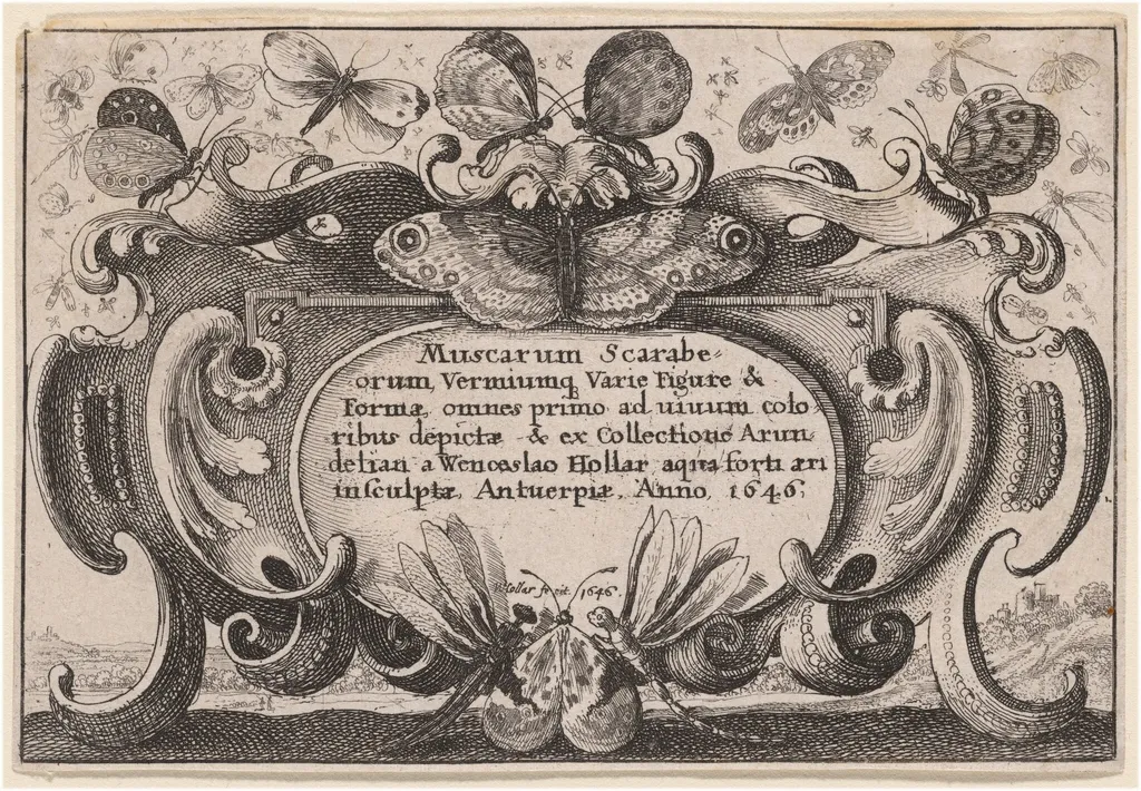 Title Page, by Wenceslaus Hollar, ink, 1646