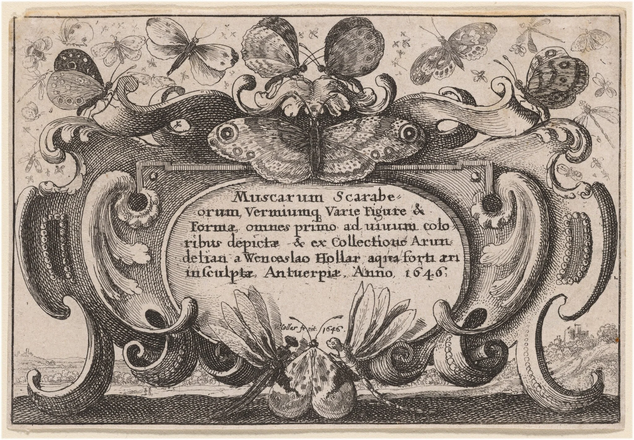 Title Page, detail