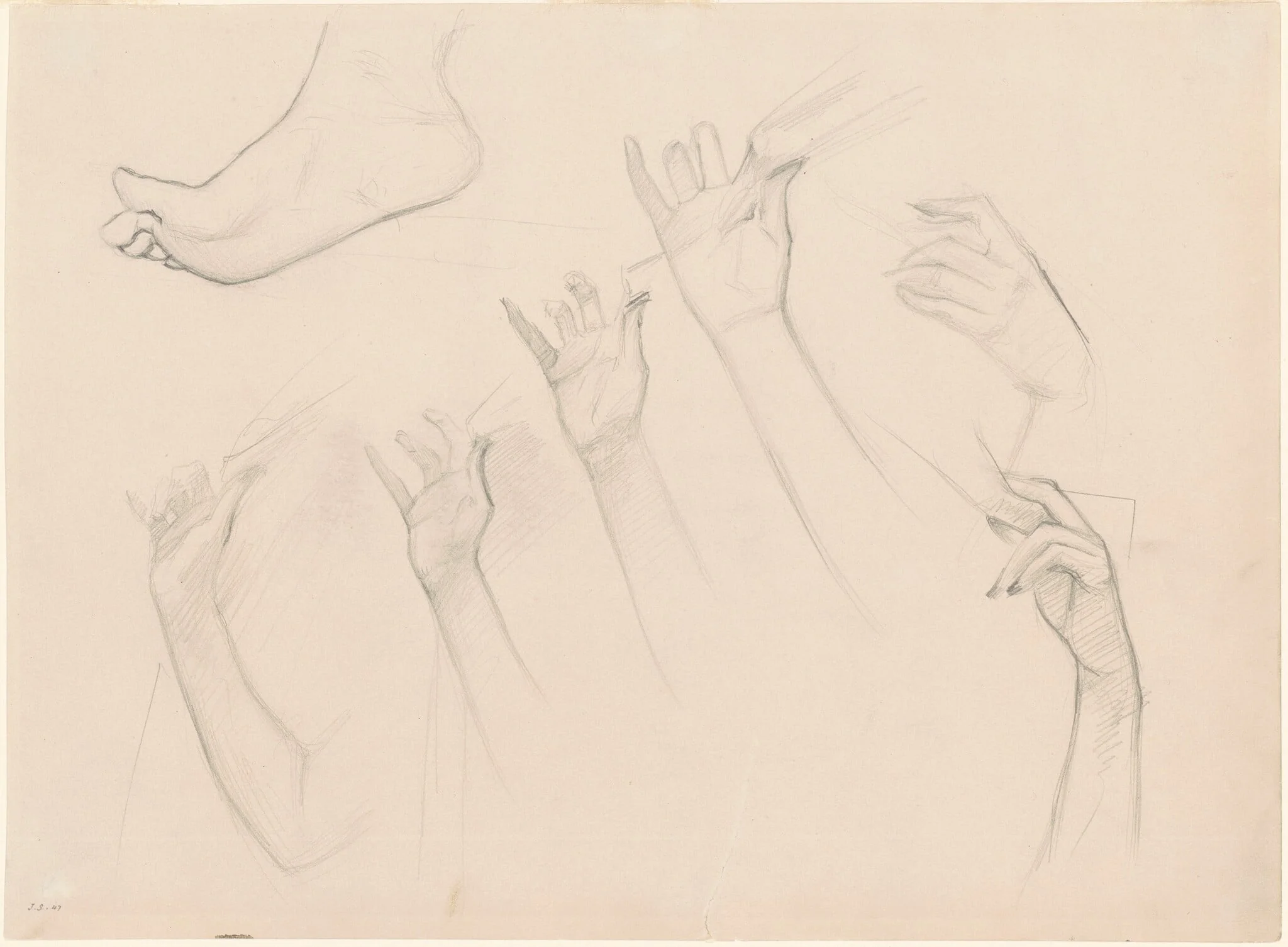 Studies for "Fumee d'Ambre Gris", detail
