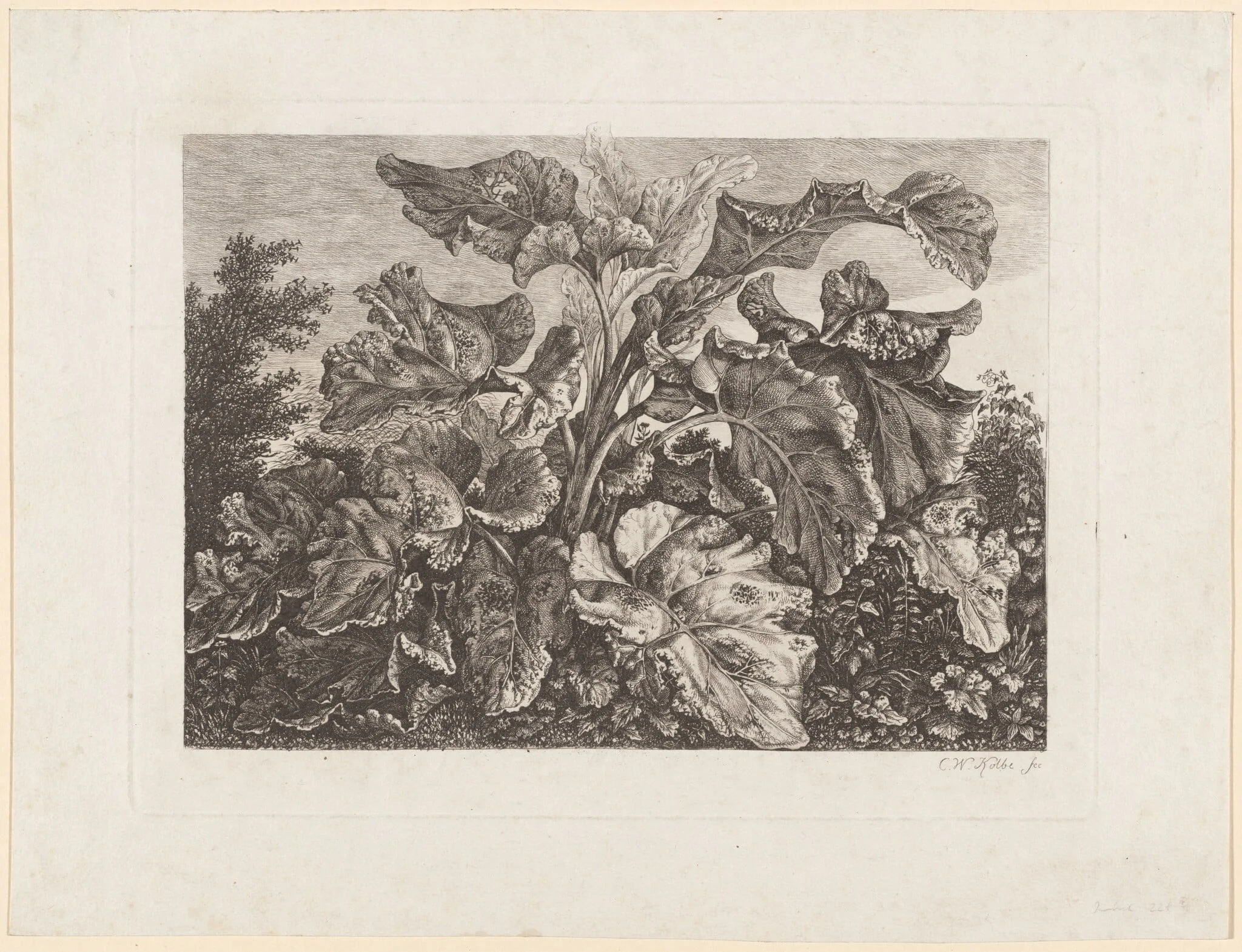 Plant Study with Burdock, detail