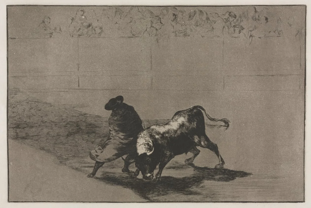 Bullfights: The Very Skilful Student of Falces, Wrapped in his Cape, Tricks the Bull with the Play of his Body, detail