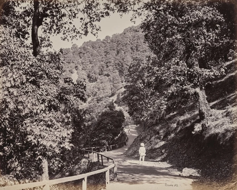 Shimla. The Mall near Rabq Lodge, detail