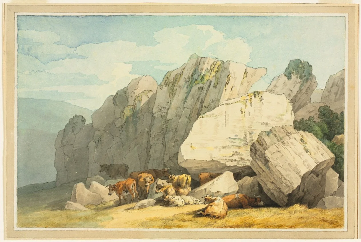 Leigh Tor Rocks at Poundsgate, near New Bridge on the Dart, Devon, detail