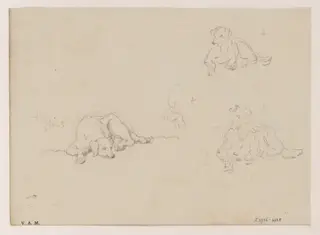 Three drawings of a dog, by George Chinnery, 20