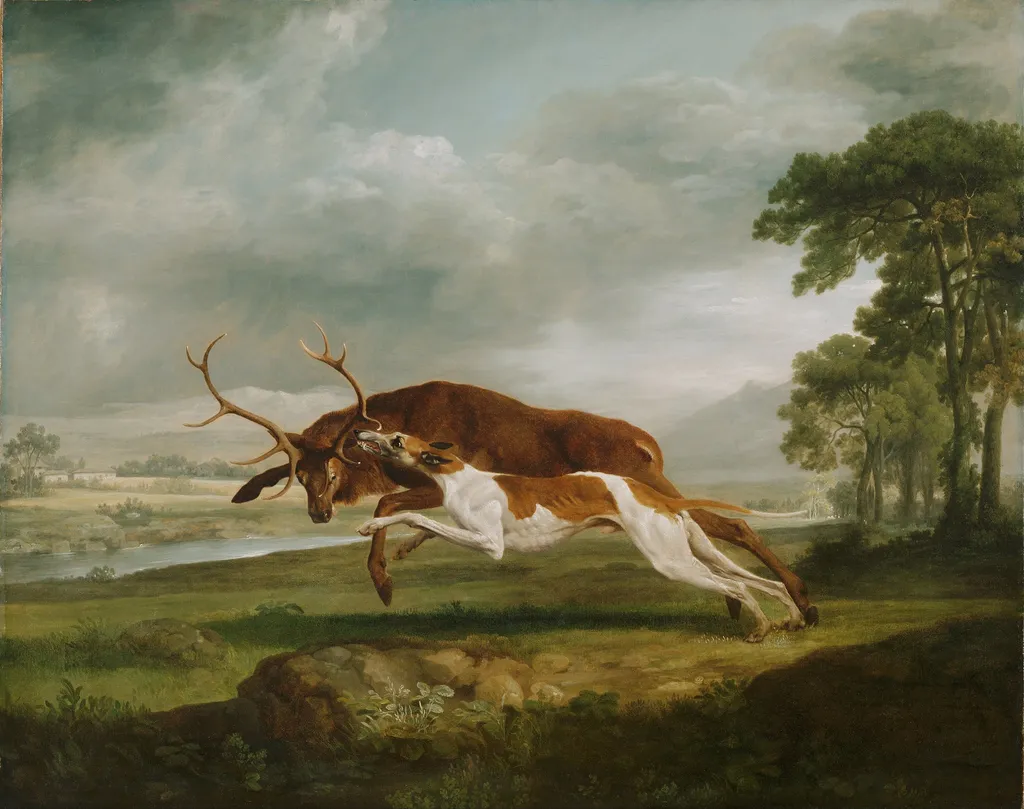 Hound Coursing a Stag, by George Stubbs, oil, 1762