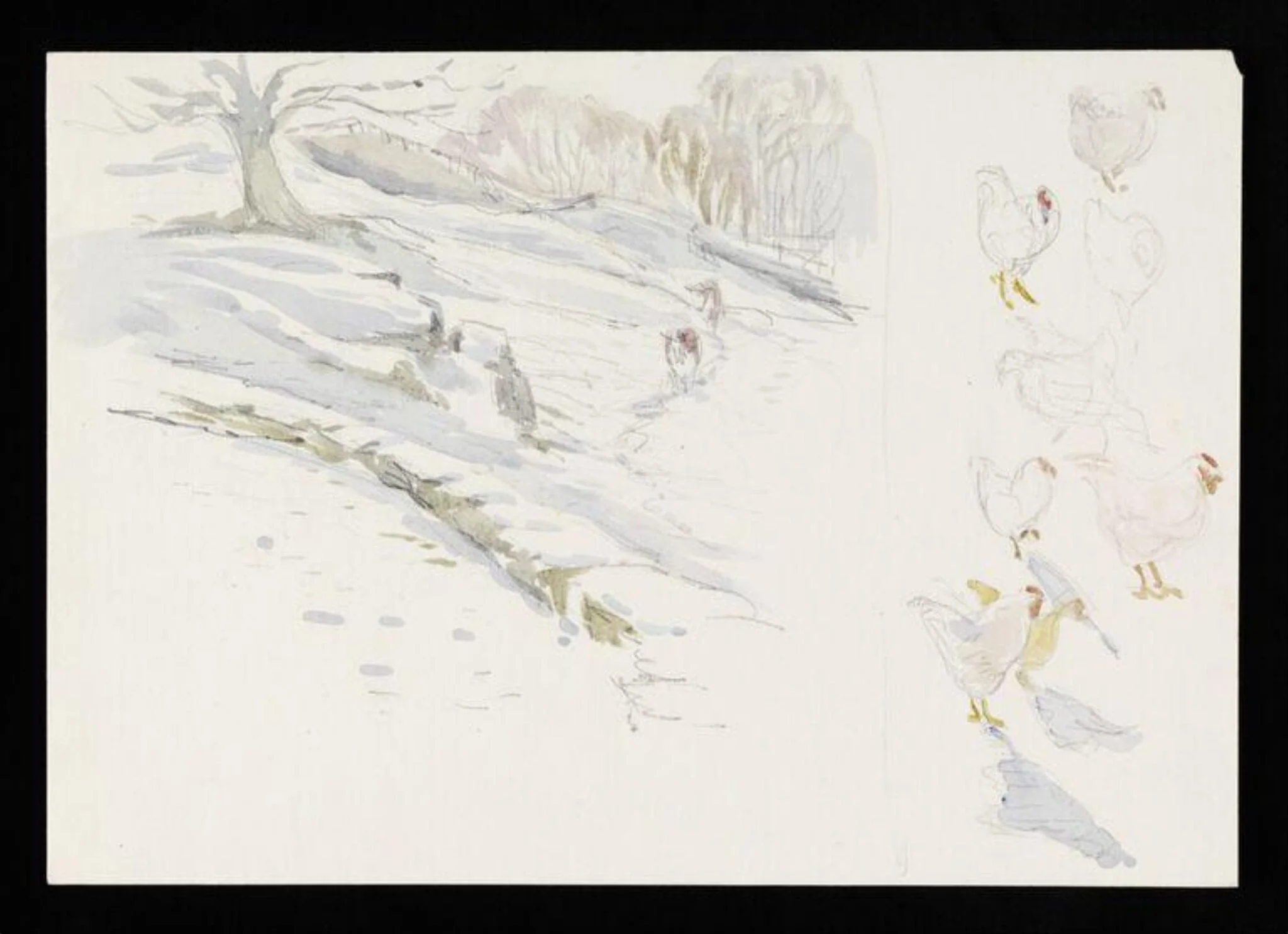 Snow scene with two cows (left) and sketches of chickens (right), detail