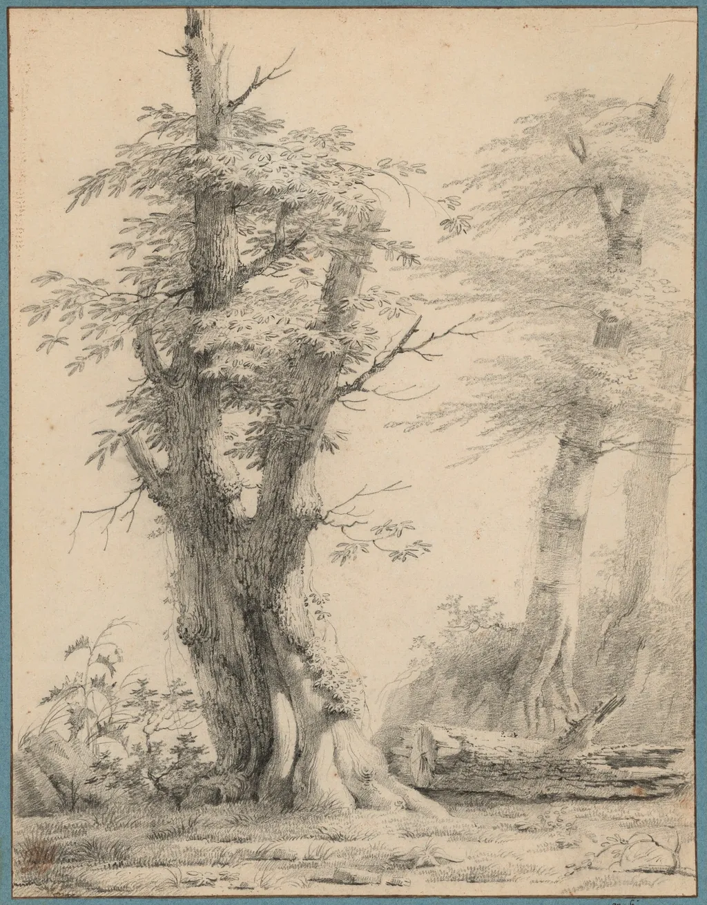 A Stand of Trees, by Pierre-Henri de Valenciennes, chalk