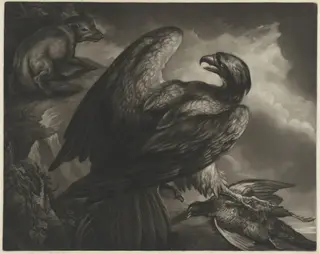 Eagle and Fox, by John Murphy, ink, 1799