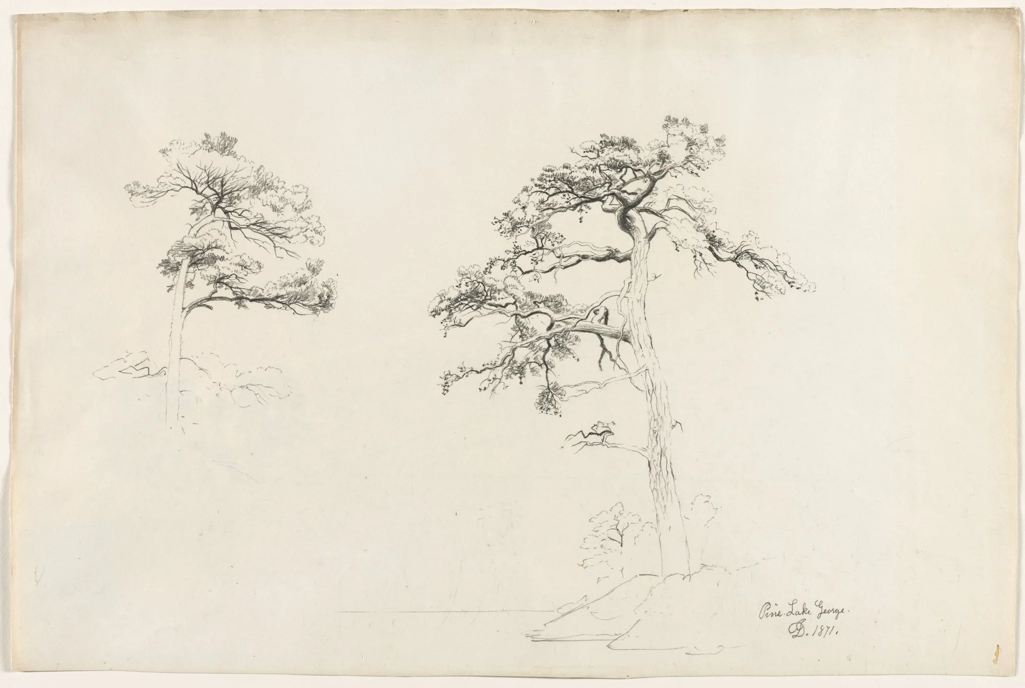 Pine, Lake George, detail