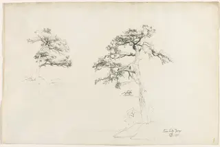Pine, Lake George, by David Johnson, 1871