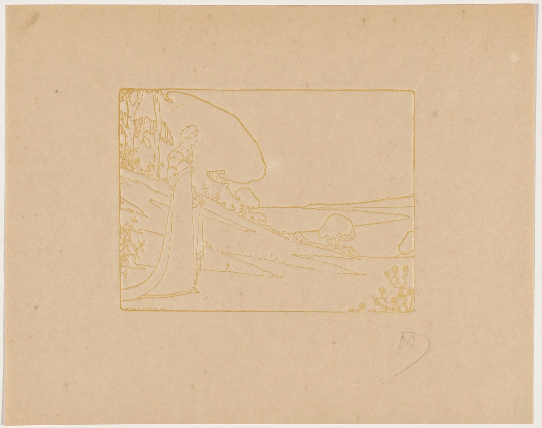 Carmosine (projet de programme), detail