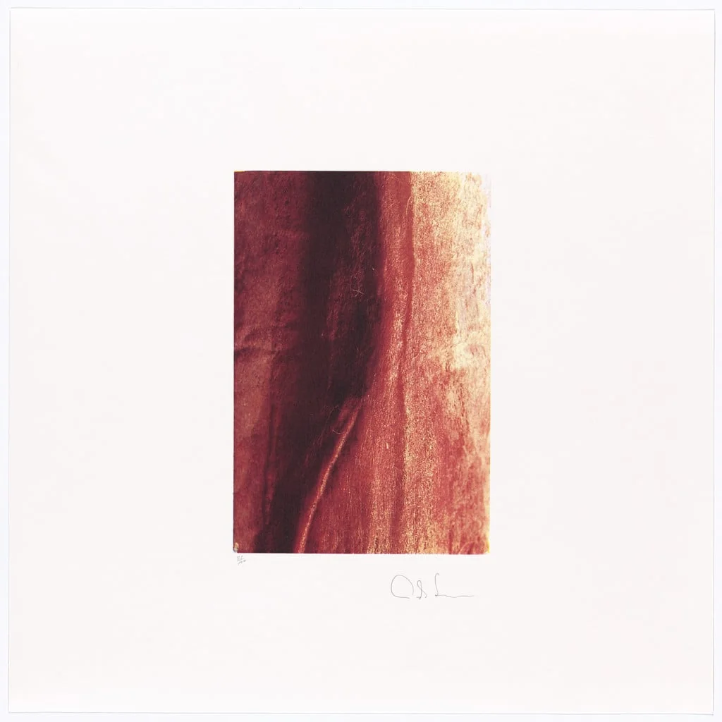 Untitled, detail
