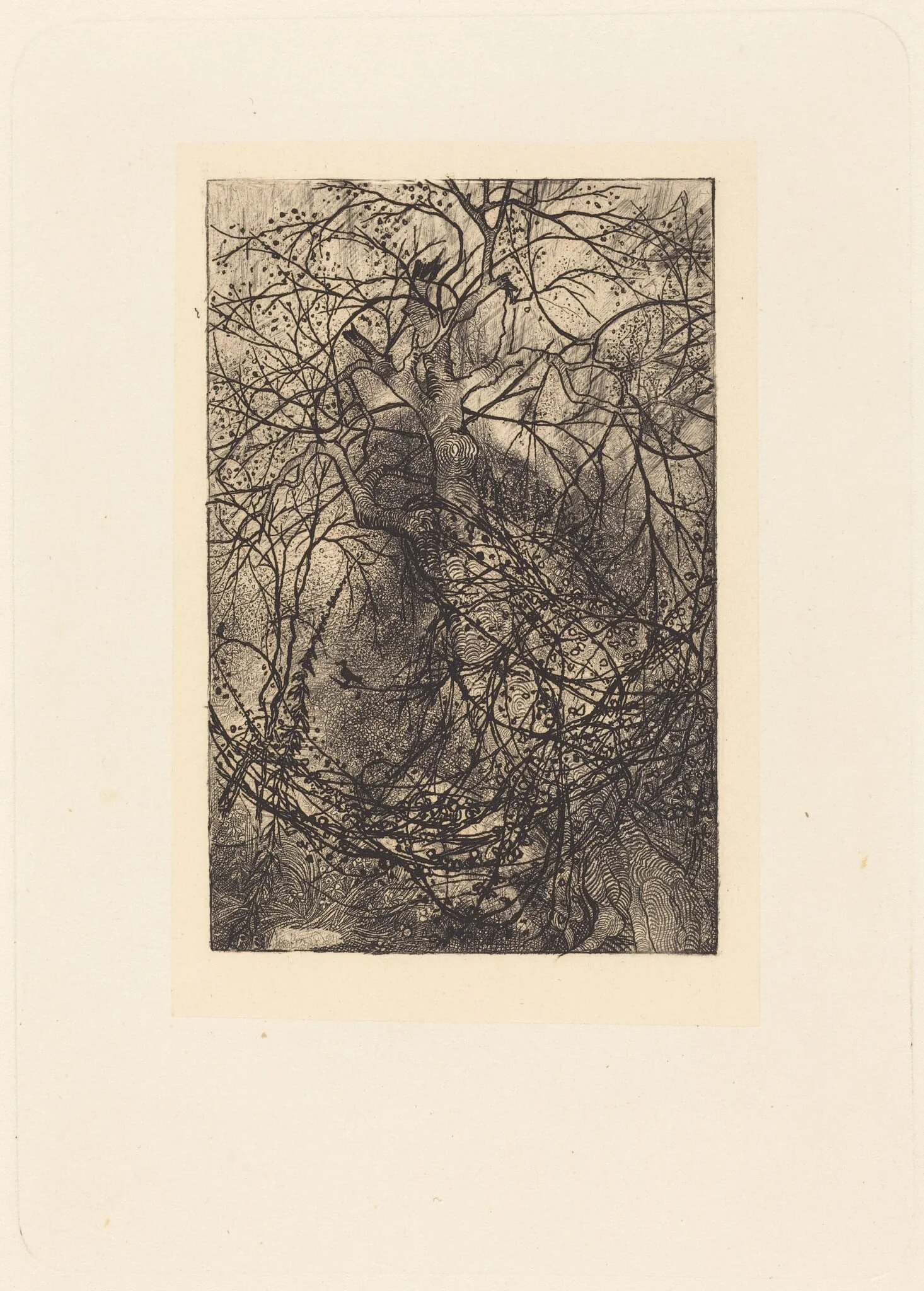 Branches, detail