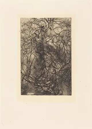Branches, by Rodolphe Bresdin, ink, 1855