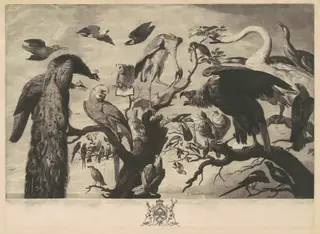 A Concert of Birds, by Richard Earlom, ink, 1778