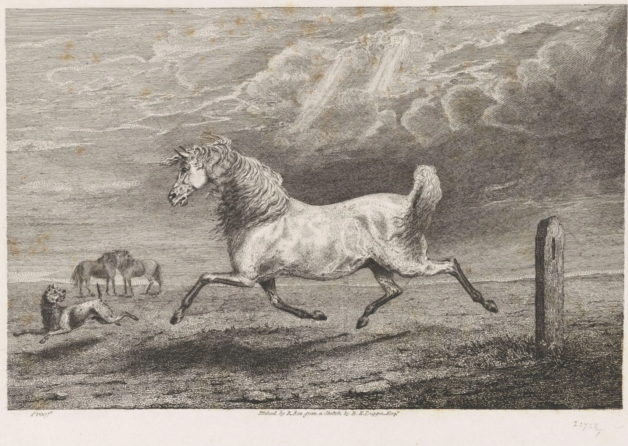 Untitled, detail