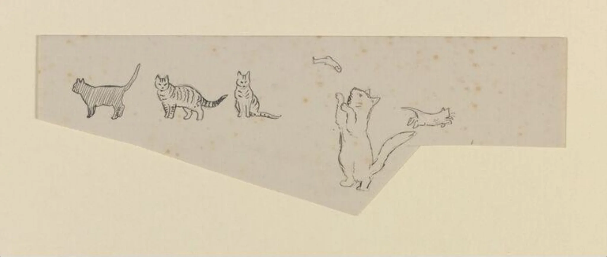 A cat playing with a fish, and other drawings of cats, detail