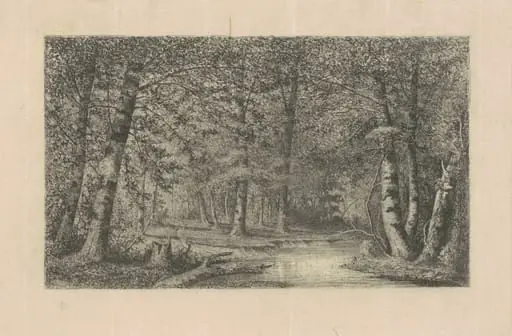 Beech Forest, by Carl C. Brenner, ink, 1880