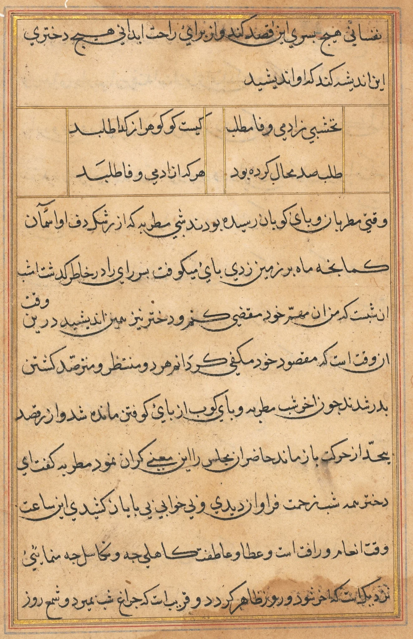 Page from Tales of a Parrot (Tuti-nama): text page, detail