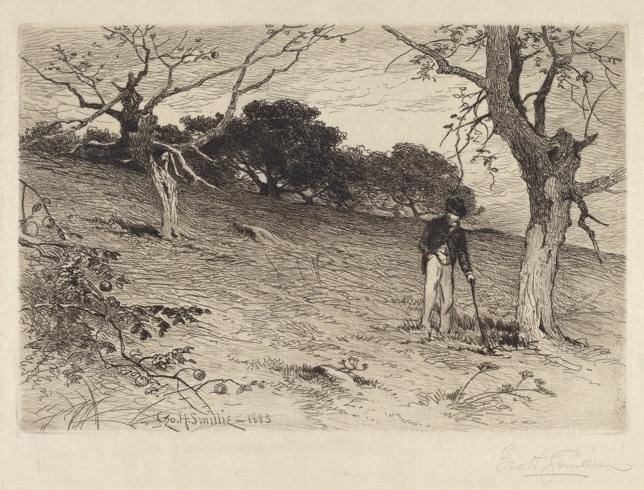 Orchard, detail