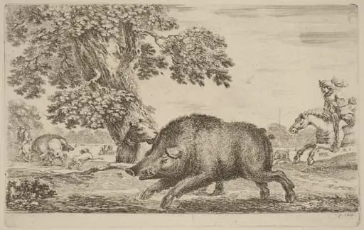 Boar Running to the Left, by Stefano Della Bella, ink, 1637