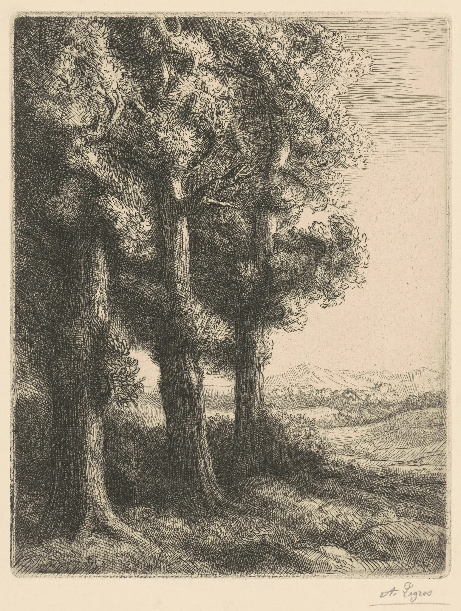 Corner of a Wood (Coin d'un Bois), detail