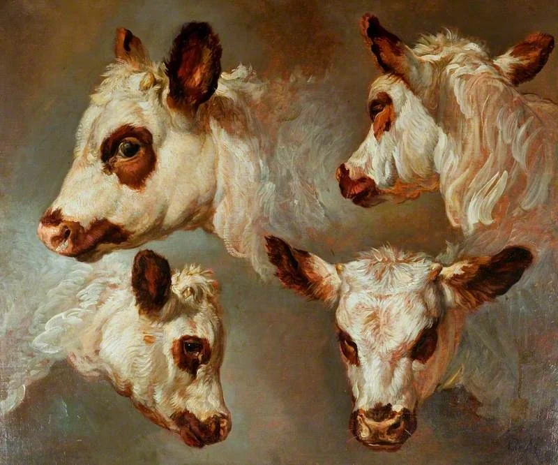 Four Studies of Heads of Cattle, detail