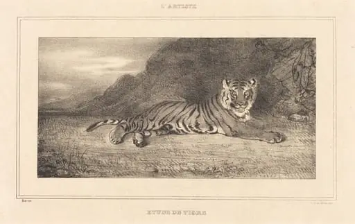 Study of a Tiger, by Antoine-Louis Barye, 1835