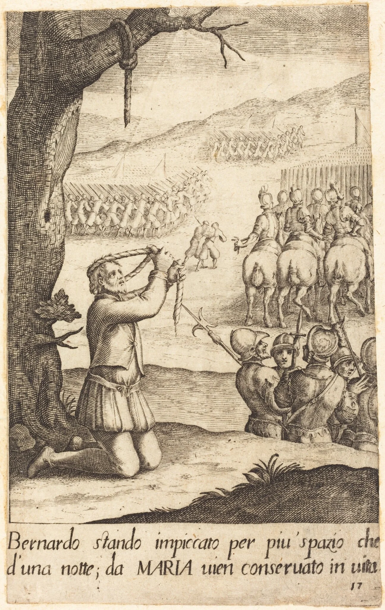 Bernardo, detail