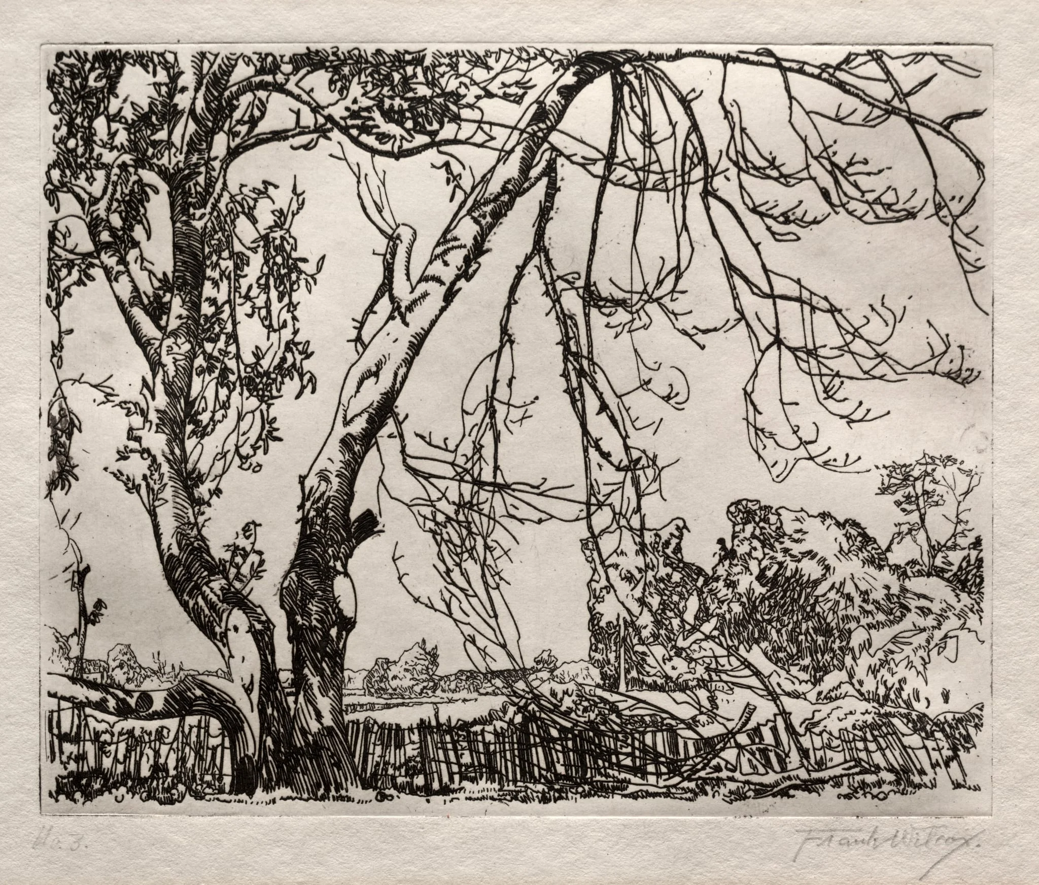 Apple Tree, detail