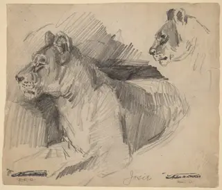 Josie, by Arthur B. Davies, graphite, 1892