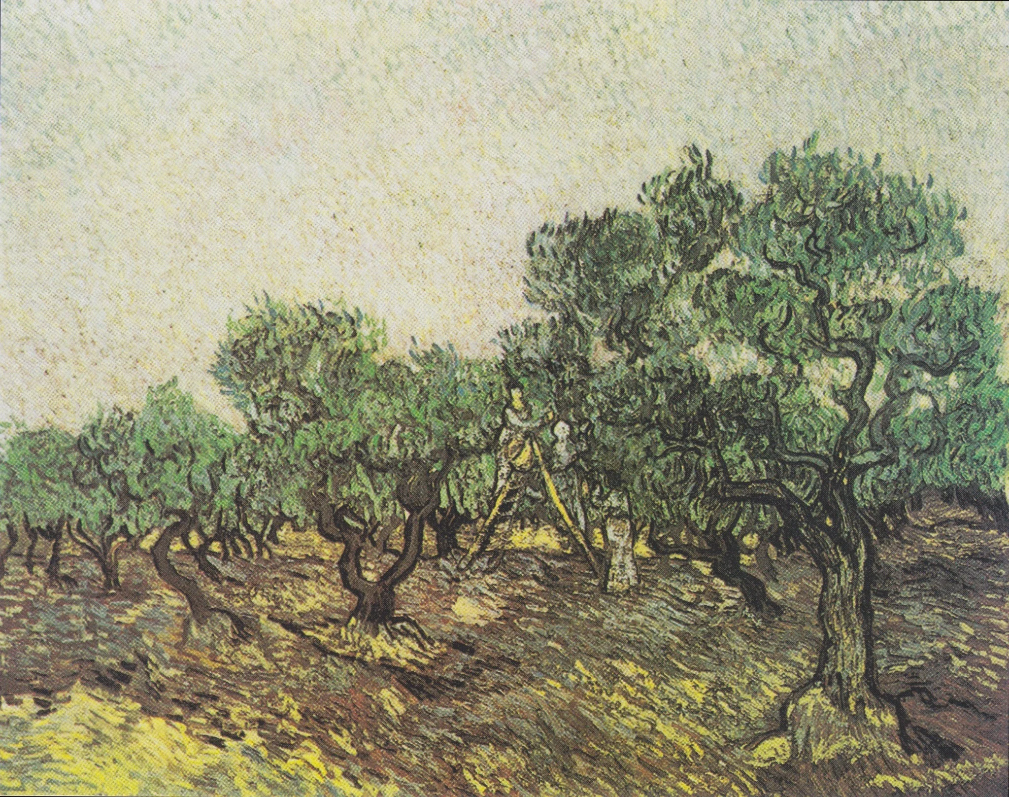 Olive Picking, detail