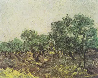 Olive Picking, by Vincent van Gogh, oil, 1889